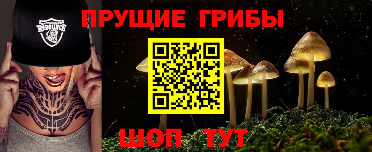 Галлюциногенные грибы MAGIC MUSHROOMS  Галлюциногенные грибы ЛСД  Вход с VPN  Старая Купавна 