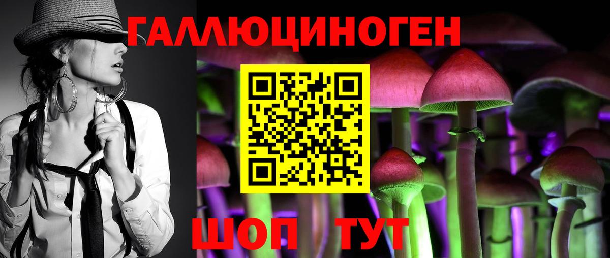 Псилоцибиновые грибы мицелий Старая Купавна